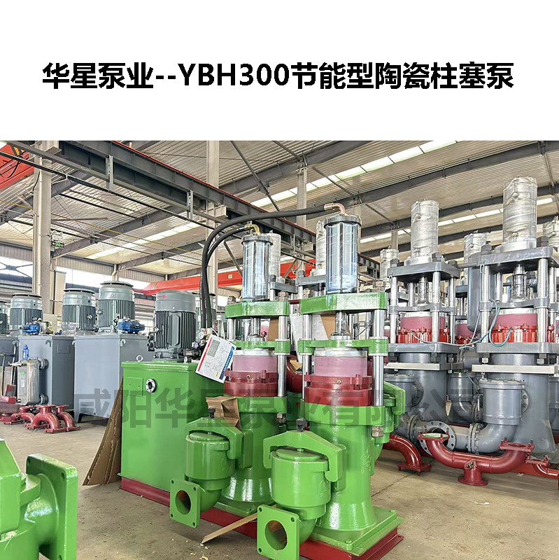 雙缸入料泵