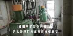 污水處理廠(chǎng)柱塞泵替換螺桿泵